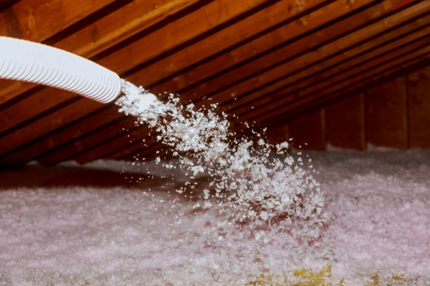 Insulation for Commercial Buildings in Cactus, TX