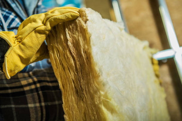 Attic Insulation Near Me in Cactus, TX