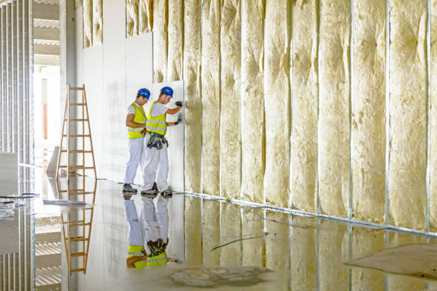 Insulation Inspection Services in Cactus, TX